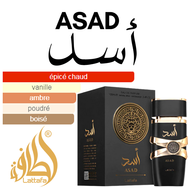 Parfum ASAD by Lattafa 100ML - KM FACTORY